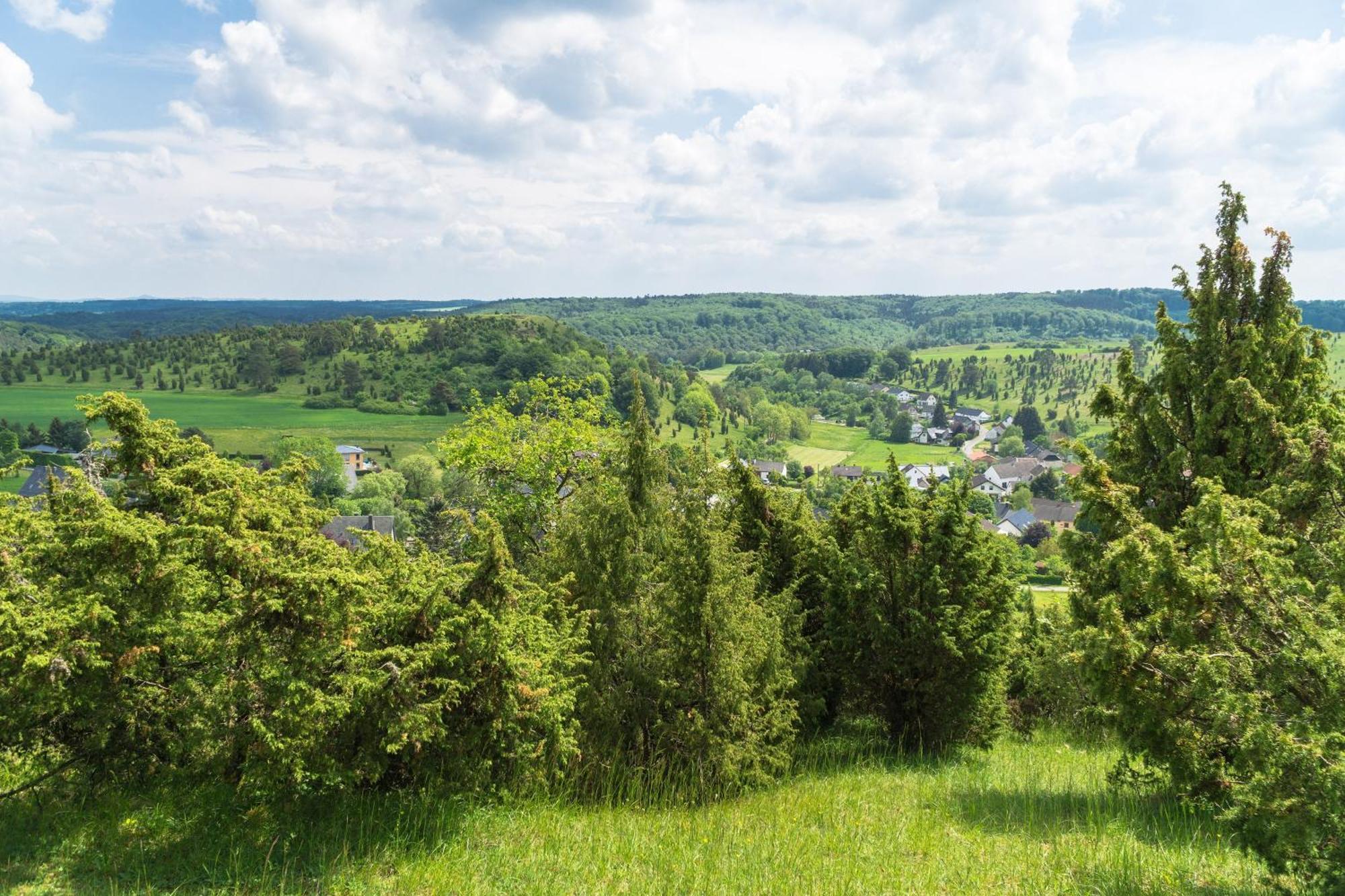 Holzhaus Onkel Fritz Mit Sauna Und Whirlwanne Esch  Екстериор снимка