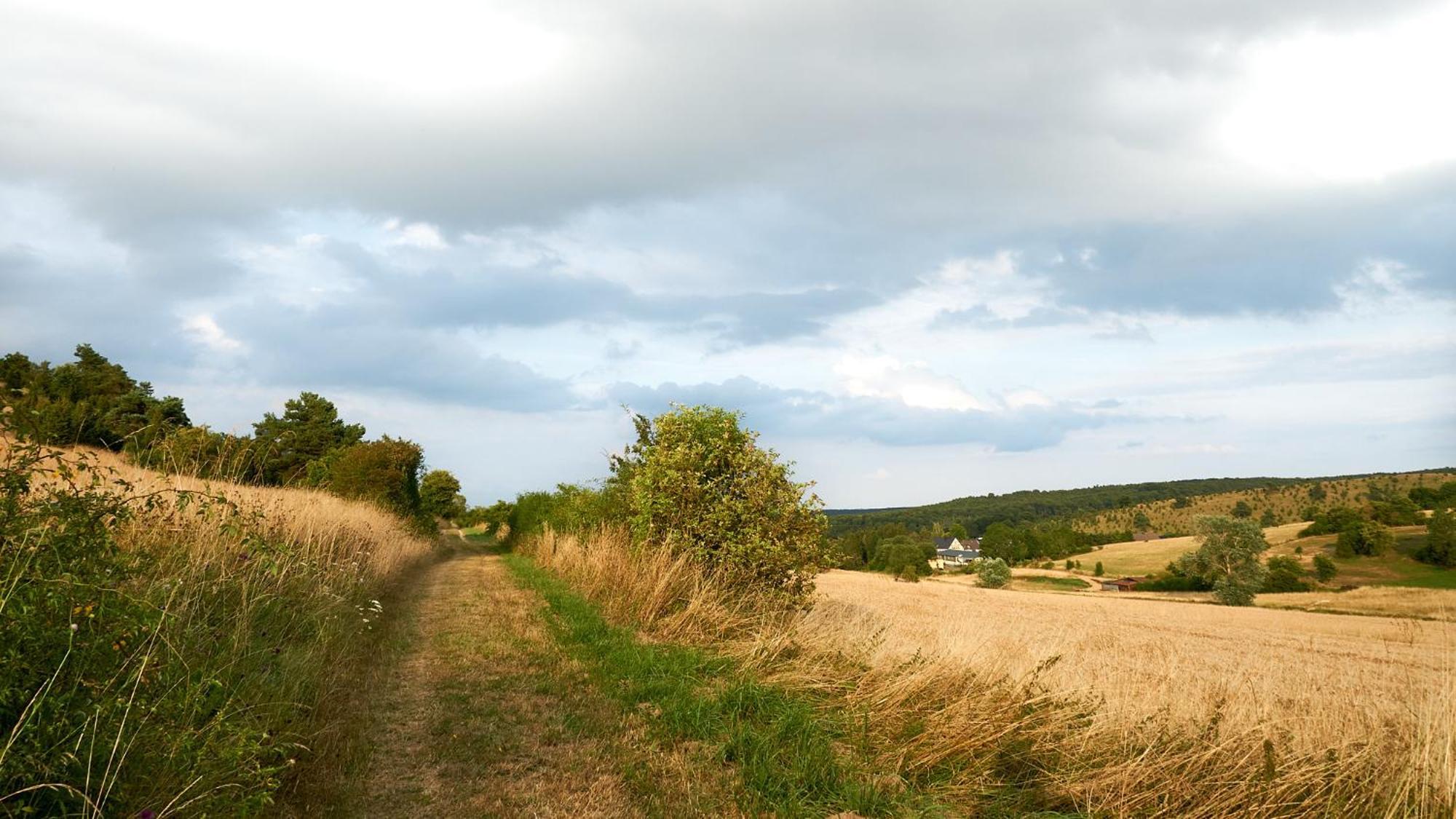 Holzhaus Onkel Fritz Mit Sauna Und Whirlwanne Esch  Екстериор снимка